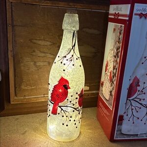 New San Miguel Snowbirds Bottle Lighting